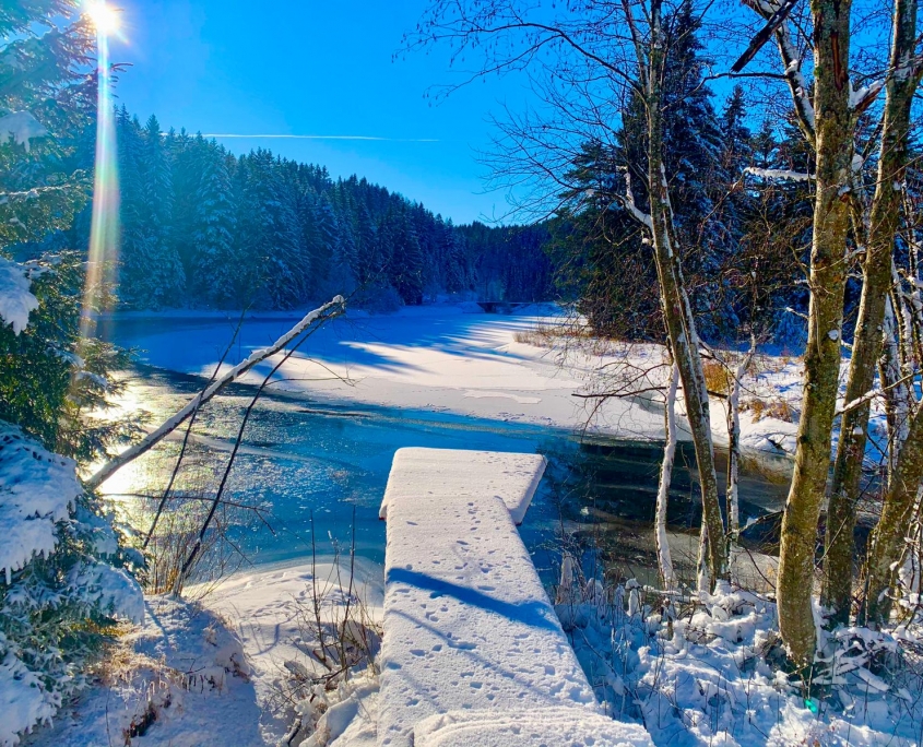 Stausee im Winter